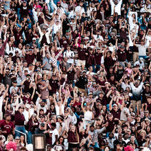 Load image into Gallery viewer, Custom Video Board Message