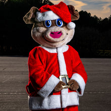 Load image into Gallery viewer, Stormy Holiday Deliveries