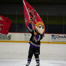 Load image into Gallery viewer, Dusty In-Seat Visit