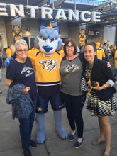 Load image into Gallery viewer, MascotLink Demo Visit