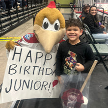 Load image into Gallery viewer, Dusty In-Seat Visit