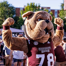 Load image into Gallery viewer, Bully Birthday Visit ⚾️