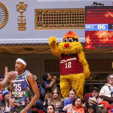 Load image into Gallery viewer, Pozzie In-Game Visit