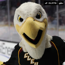 Load image into Gallery viewer, Sully In-Game Visit