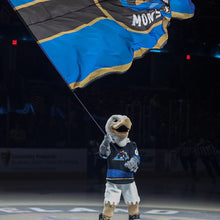 Load image into Gallery viewer, Sully In-Game Visit