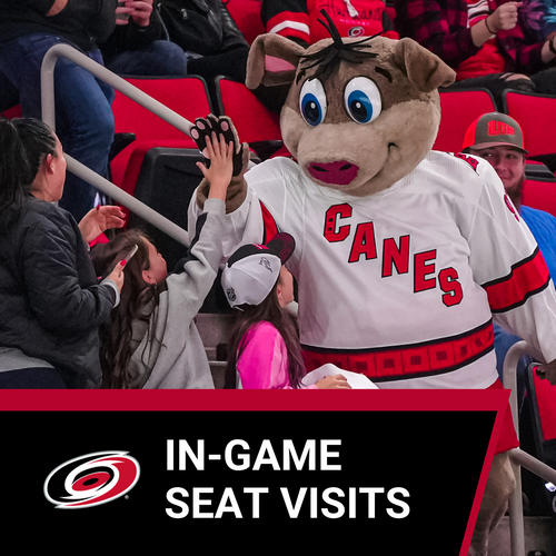 NHL Carolina Mascot
